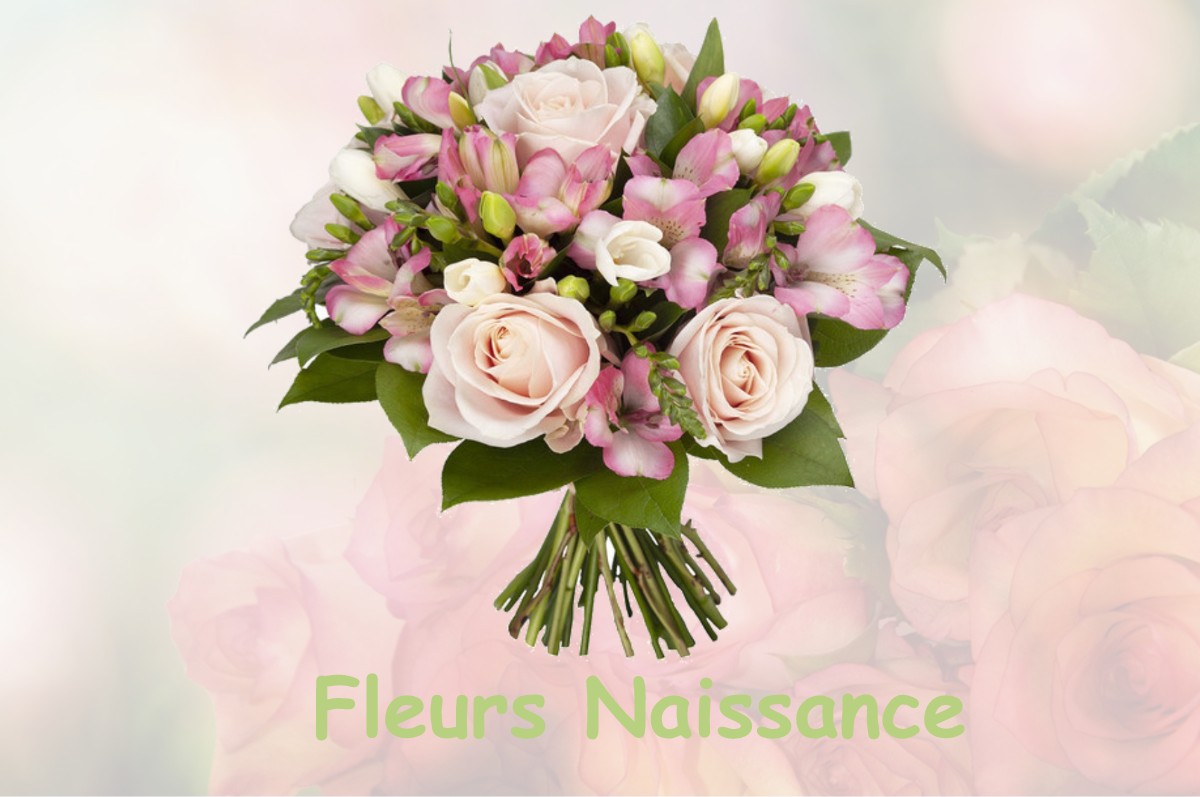 fleurs naissance FRIERES-FAILLOUEL